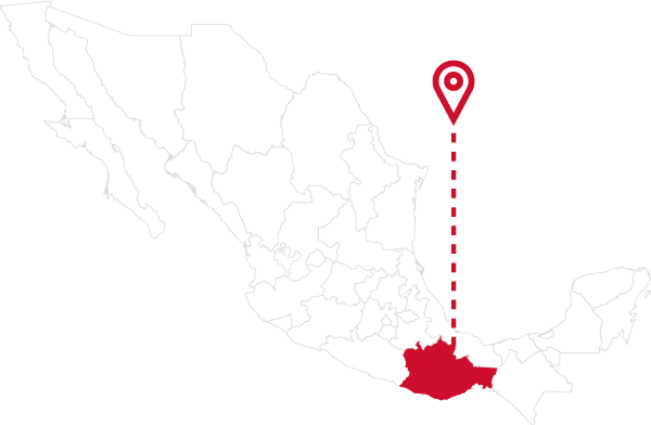 Mapa de la planta Cruz Azul Lagunas